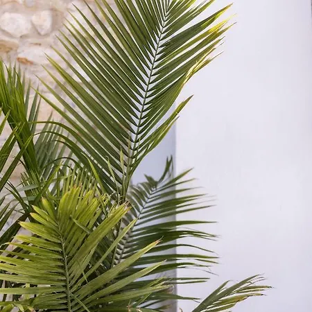 Casa Del Maco 3* ベニッサ